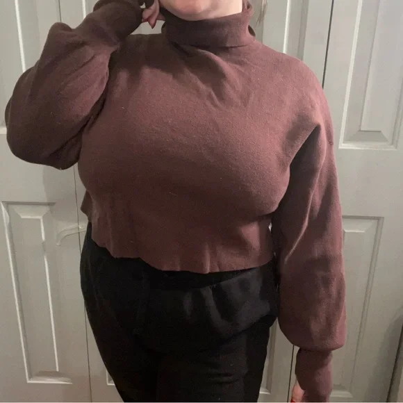Forever 21 Sweaters Forever Brown Turtleneck Long Sleeve